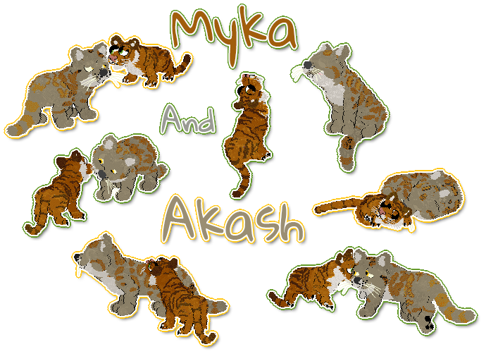 Myka and Akash