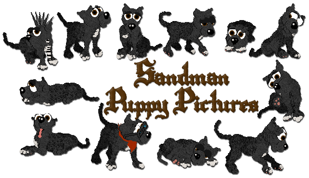 Sandman Puppy Pictures
