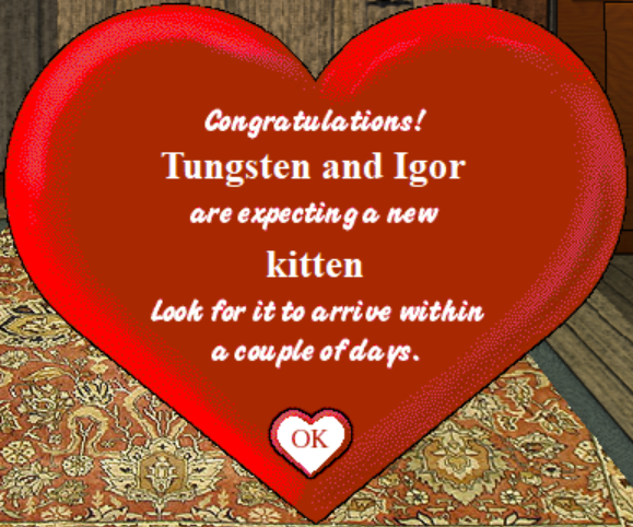 Tungsten and Igor Expecting Kittens