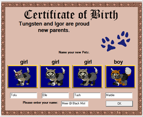 Tungsten and Igor's Kittens
