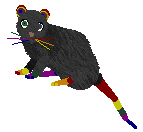 Rainbow Rat V1