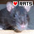 Rat Fan